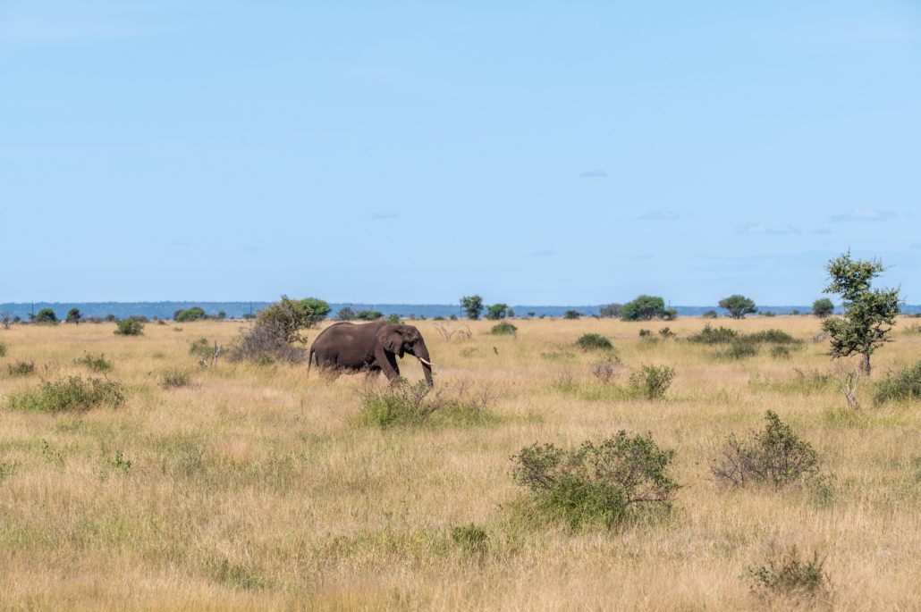 Kruger National Park
